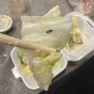 Ginger salad with a bug in it!