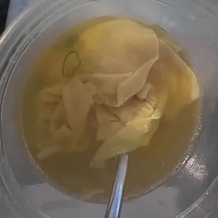 Wonton Soup
