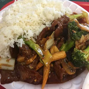 a plate of chinese food