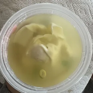 Wonton Soup