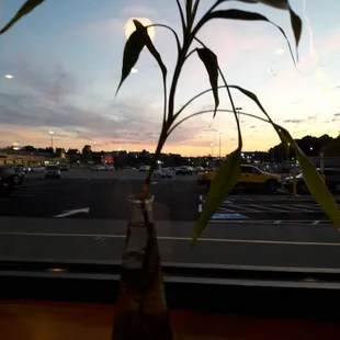 Sunset dining.
