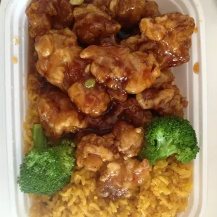 General tso&apos;s
