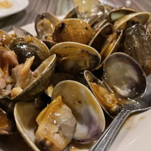 Clams