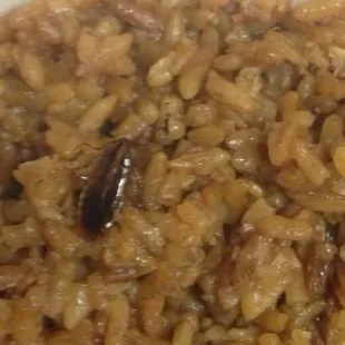 A roach I found in the fried rice.