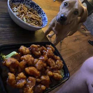 S1. General Tso&apos;s Chicken w/ 32.Plain Lo Mein Ft professional beggar.