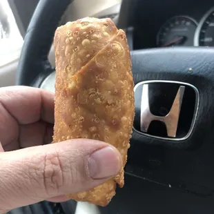 Vegetable Egg Roll