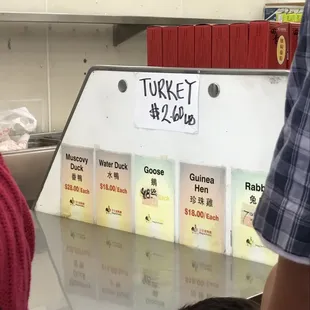 Turkey price!