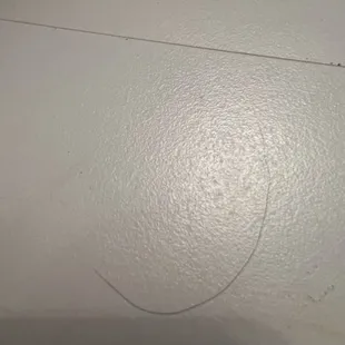 Unknown human hair in the food!