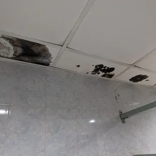 Bathroom Ceiling Mold