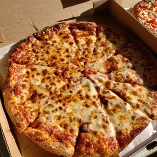 Large cheese pizza