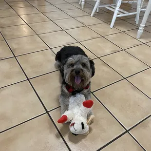 They are pet friendly also!