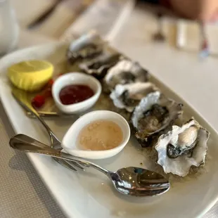 Oysters