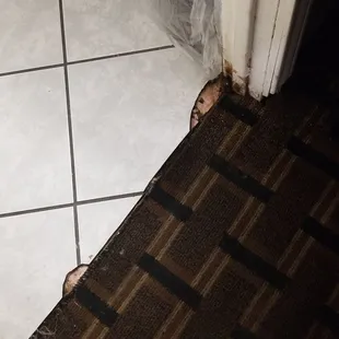 Holes in the the floor. My friend already walking impaired from a car accident, nearly fell after tripping.