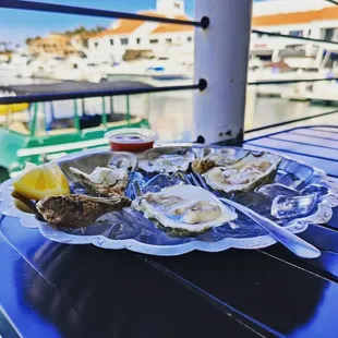 a plate of oysters on a table