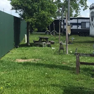 Awaiting your picnic