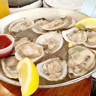 a platter of oysters
