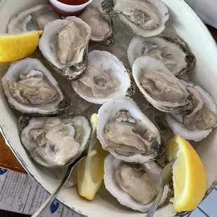 Oysters!