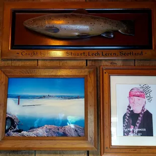 The fish caught in Scotland and  the photo of Willie Nelson, a country and folk singer, down home guy and San Francisco Bridge