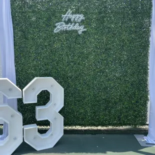 Upgrade your event with our green hedge wall and birthday light.