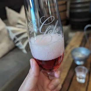 a person holding a glass of wine