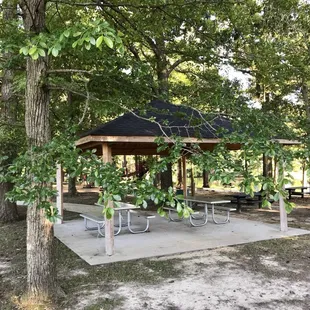 New shelter