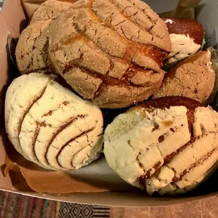 Fresh conchas!