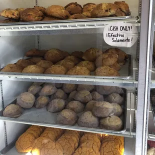We ALWAYS have to stop here if we're in Oakland, best pan dulce in town