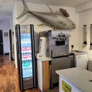  a fish on the ceiling