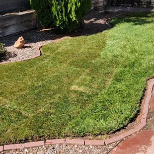 New top soil added &amp; fescue sod
