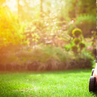 We Take Care of Your Yard!