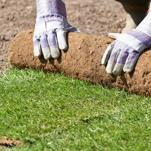 Sod Installation!