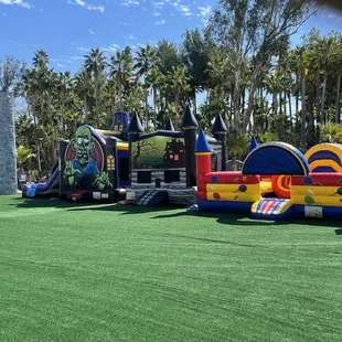 Penguins has a huge selection to choose from.