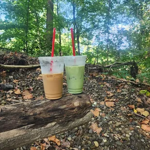 Out back surrounded by nature