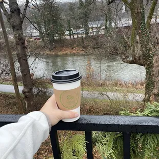 Latte posing on their lovely outdoor deck