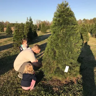 Cutting down the tree with daddy.