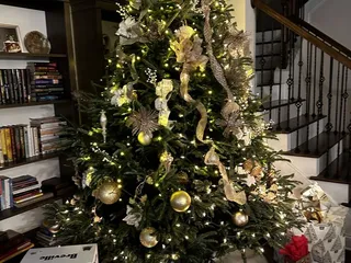 Willie Simpson's Christmas Tree Lot