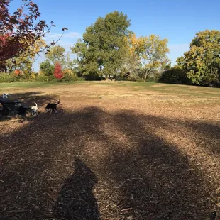Penn valley dog park