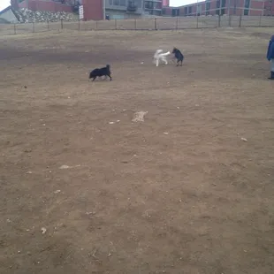 Running!