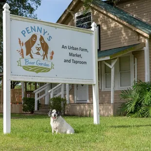 Penny waiting to meet you.