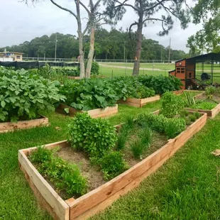 Fresh fruits and vegetables grown in the garden and available at our farmer&apos;s market.