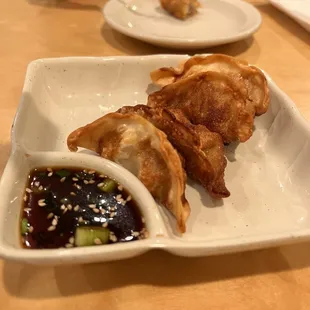 Japanese Gyoza