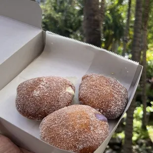 3 Filled Malasadas