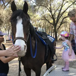 Liberty's 3rd Birthday, Penryn Oaks Stables