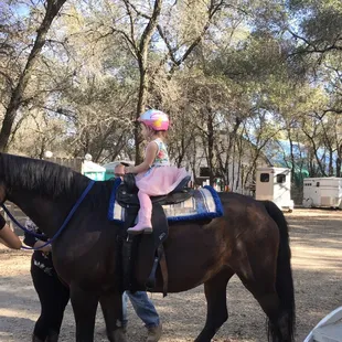 Liberties 3rd Birthday Penryn Oaks Stables.