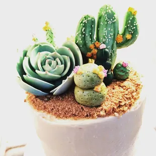 Cactus themed cake toppers. We create and ship custom cake toppers.