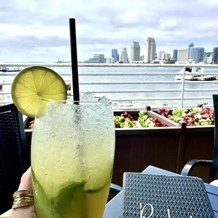 POMEGRANATE MOJITO