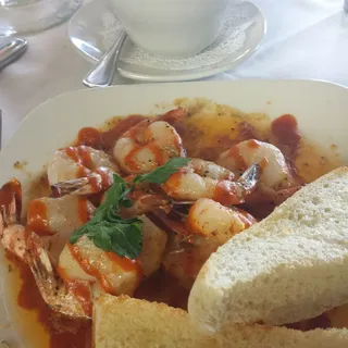 Pacific Fire Shrimp