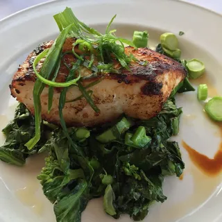 Sake Kasu Sea Bass