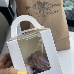 a hand holding a box of macarons