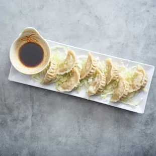 Chicken Dumplings
